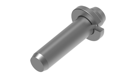 Pin and ring